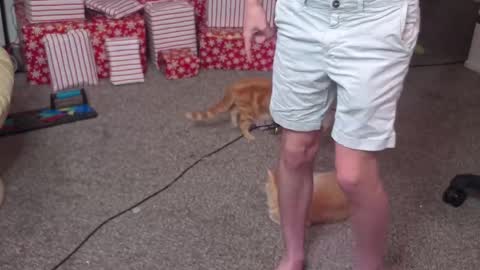 Snapshot of mattcashxxx chatting on 12.26.24 Matt Cash online show from 12.26.24