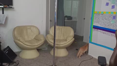 Snapshot of mattcashxxx chatting on 01.10.25 Matt Cash online show from 01.10.25