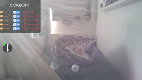 Snapshot of matyastethal2 chatting on 02.19.25 Matyas online show from 02.19.25