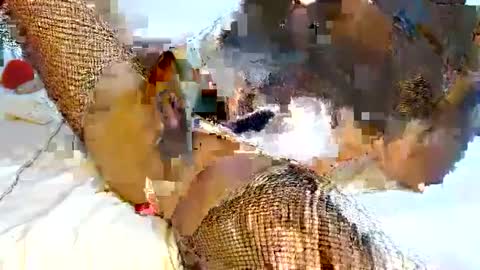 mauro sex online show from 02.06.25