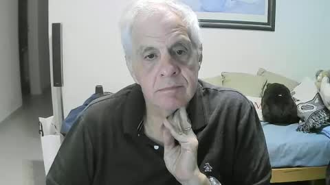 max_2017 online show from 10.02.25