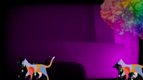 Snapshot of max_original chatting on 01.28.25 Future Max online show from 01.28.25