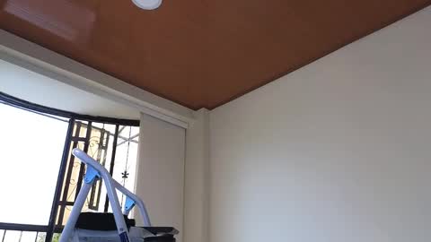 Sebastian online show from 12.30.24