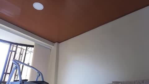 Sebastian online show from 01.13.25