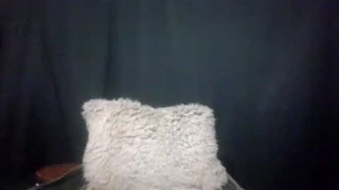 Snapshot of maximus_oreally chatting on 01.04.25 Max online show from 01.04.25