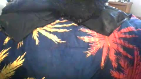 Max online show from 03.06.26