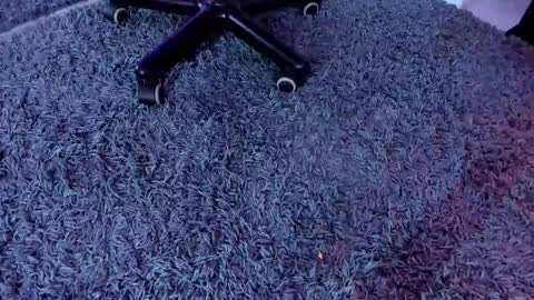 Snapshot of maxxx_bunny chatting on 03.01.25 bunny black online show from 03.01.25