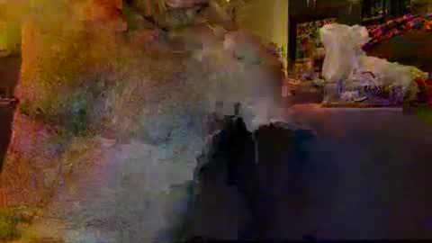 Snapshot of mazl0w chatting on 12.31.24 mazl0w online show from 12.31.24