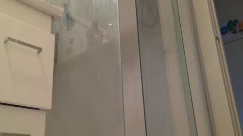 Snapshot of mazl0w chatting on 12.31.24 mazl0w online show from 12.31.24