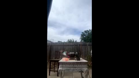 mcdanielx4209 online show from 06.06.26