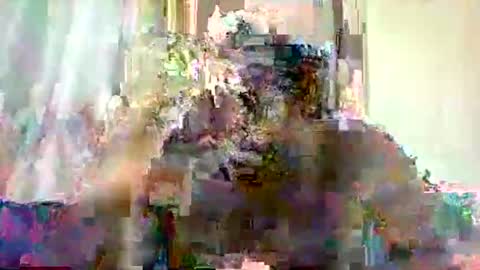 Snapshot of mclntz_bbc chatting on 05.13.26 mclntz_bbc online show from 05.13.26