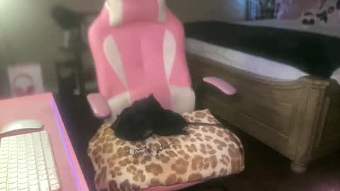 Snapshot of meetsouthernpeach chatting on 09.27.25 Southern Peach online show from 09.27.25