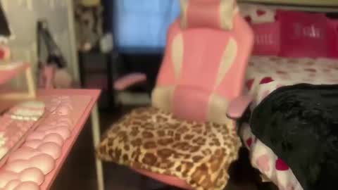 Snapshot of meetsouthernpeach chatting on 02.06.26 Southern Peach online show from 02.06.26