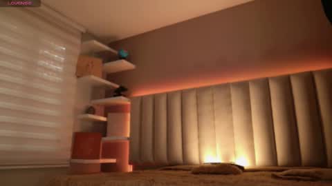     online show from 11.15.25