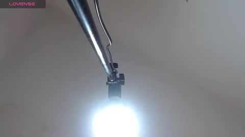 Snapshot of megann556 chatting on 01.06.25 Megan and Brad online show from 01.06.25