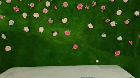 megatitts_ online show from 02.03.26