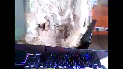 meks5544 online show from 04.12.26