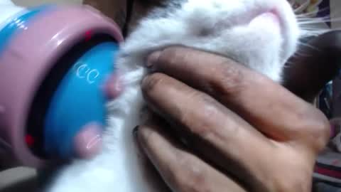 melany online show from 11.06.25