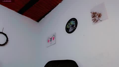 Snapshot of melissa_and_carol chatting on 01.21.25 Carol - Dany online show from 01.21.25