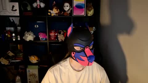 Snapshot of mellpup chatting on 06.15.26 MellPUP online show from 06.15.26