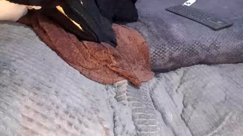 Giorggio Fragacci online show from 04.10.26