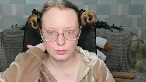 meowcr online show from 12.13.25