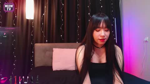 meowkami online show from 02.16.26