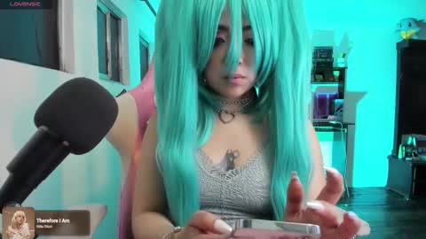 Snapshot of meowmelf chatting on 12.02.25 meowmelf online show from 12.02.25