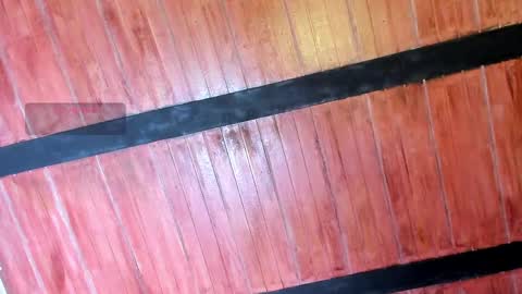 meowmelf online show from 05.06.26