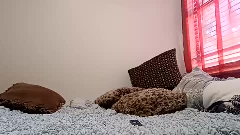 Snapshot of meowzers777 chatting on 12.15.24 meowzers777 online show from 12.15.24