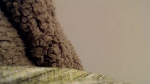 Snapshot of mesmerize88 chatting on 02.06.25 Mauro online show from 02.06.25