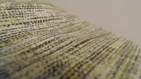 Snapshot of mesmerize88 chatting on 02.11.25 Mauro online show from 02.11.25