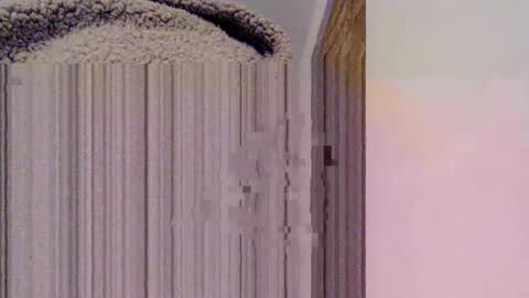 Snapshot of mesmerize88 chatting on 02.15.25 Mauro online show from 02.15.25