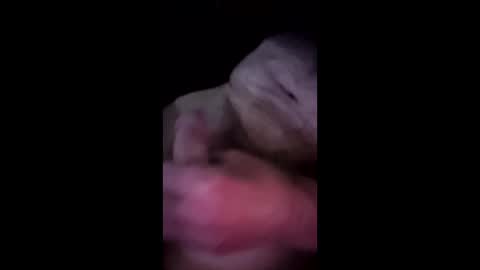 mhidupont online show from 04.10.26