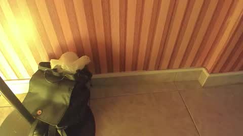 Snapshot of mia__blaze_ chatting on 02.05.26 mia__blaze_ online show from 02.05.26