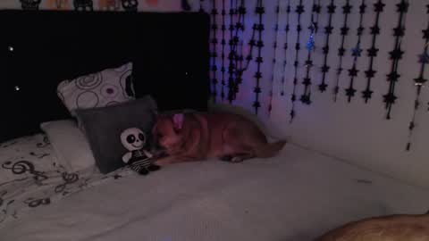 mia online show from 02.18.26