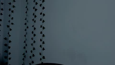 MIA online show from 09.23.25