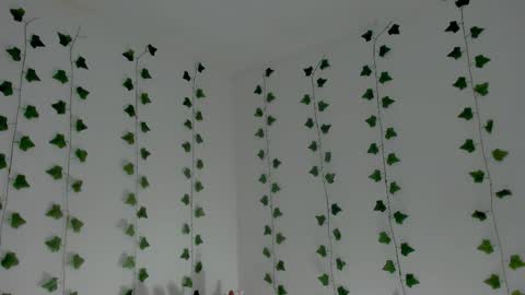 MIA online show from 01.18.26