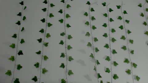 MIA online show from 02.03.26