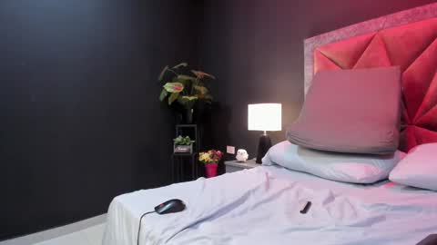 MIA  online show from 02.15.25