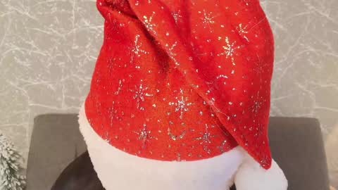 Snapshot of mia_roux13 chatting on 12.28.24 Mia Roux online show from 12.28.24