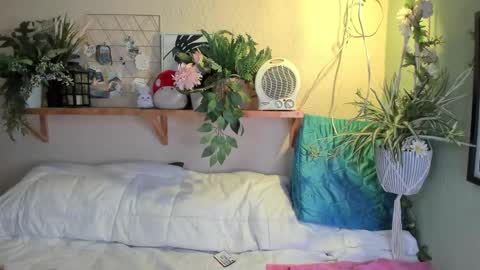 Miaa online show from 12.20.24