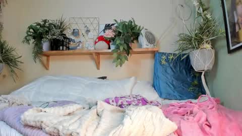 Miaa online show from 12.20.24