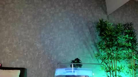 Snapshot of miahartx chatting on 01.06.26 miahartx online show from 01.06.26