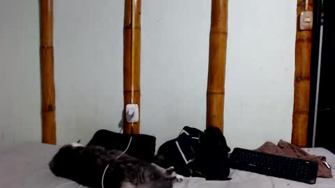 Mia  Sam online show from 01.17.26