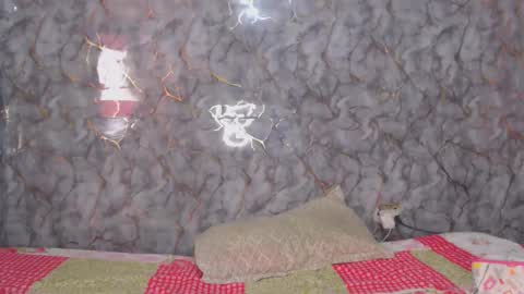 miarouse1531 online show from 02.07.26