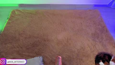 Snapshot of mich_bittersweet chatting on 01.29.25         online show from 01.29.25