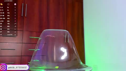 Snapshot of mich_bittersweet chatting on 02.21.25         online show from 02.21.25