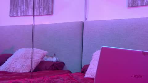 Mickey online show from 11.27.25