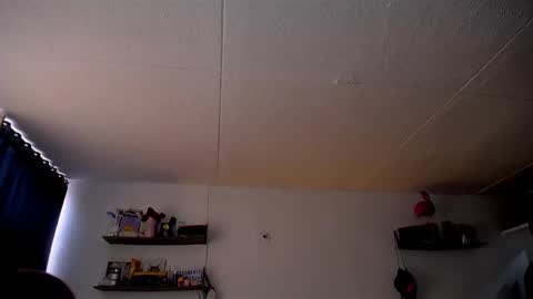 Pola  INDEPENDENT MODEL online show from 03.03.25